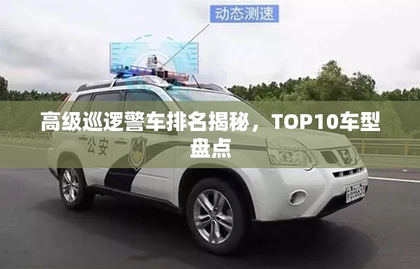 高级巡逻警车排名揭秘，TOP10车型盘点