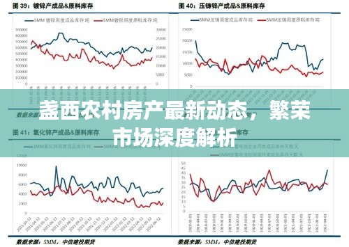 盏西农村房产最新动态，繁荣市场深度解析