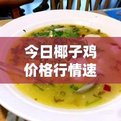 今日椰子鸡价格行情速递