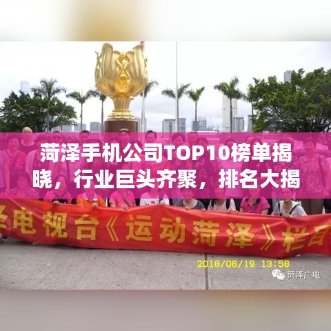 菏泽手机公司TOP10榜单揭晓，行业巨头齐聚，排名大揭秘！