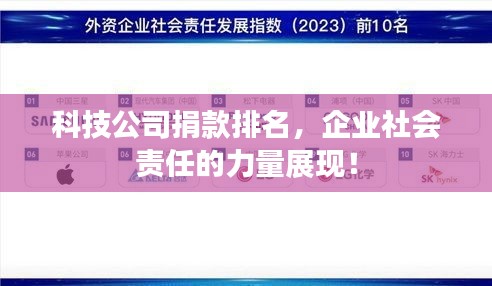 科技公司捐款排名，企业社会责任的力量展现！