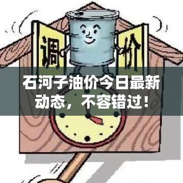 石河子油价今日最新动态，不容错过！