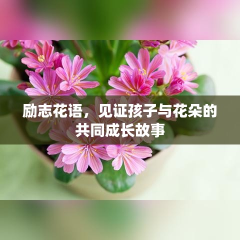 励志花语，见证孩子与花朵的共同成长故事