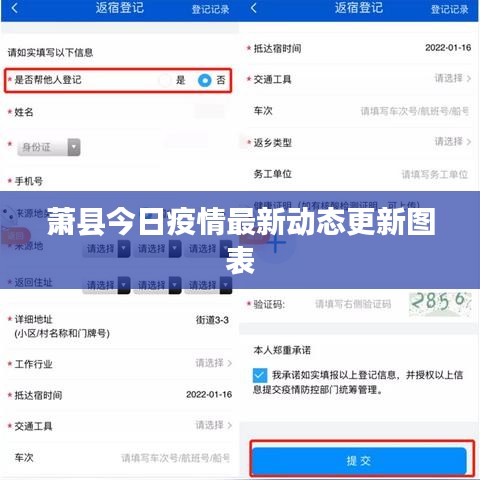 萧县今日疫情最新动态更新图表