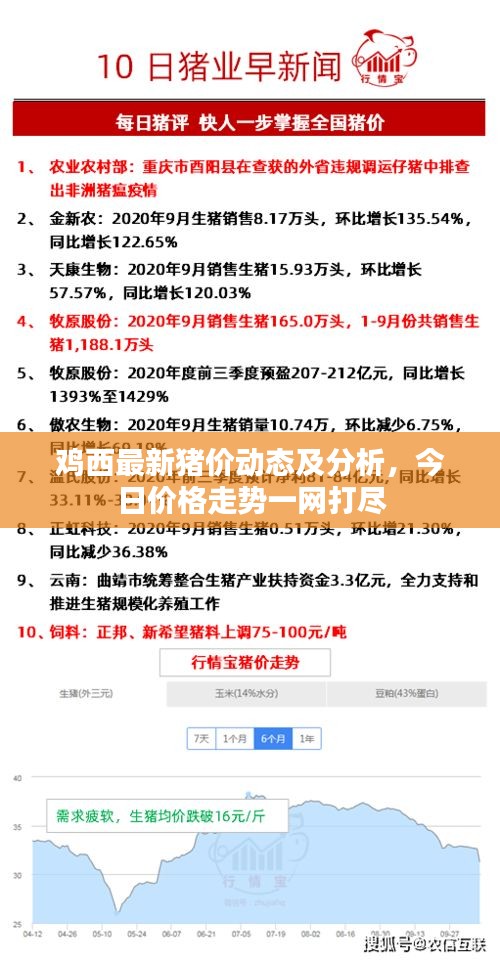 鸡西最新猪价动态及分析，今日价格走势一网打尽