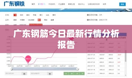 广东钢筋今日最新行情分析报告