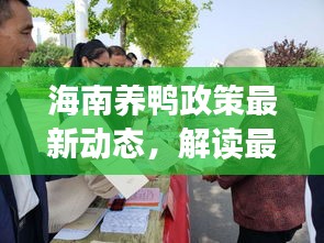 海南养鸭政策最新动态，解读最新养鸭政策消息