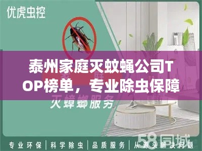 泰州家庭灭蚊蝇公司TOP榜单，专业除虫保障家庭健康