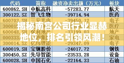 揭秘南宫公司行业显赫地位，排名引领风潮！