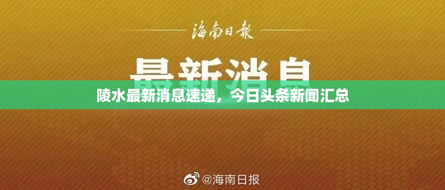 陵水最新消息速递，今日头条新闻汇总