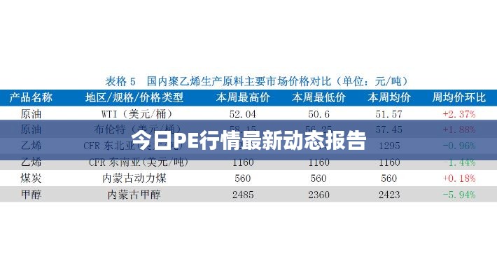 今日PE行情最新动态报告