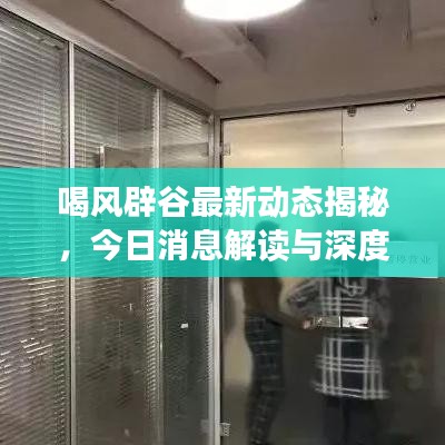 喝风辟谷最新动态揭秘，今日消息解读与深度剖析