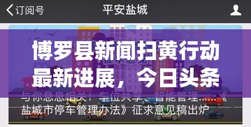 博罗县新闻扫黄行动最新进展，今日头条报道扫黄行动取得显著成效