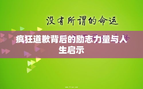 疯狂道歉背后的励志力量与人生启示