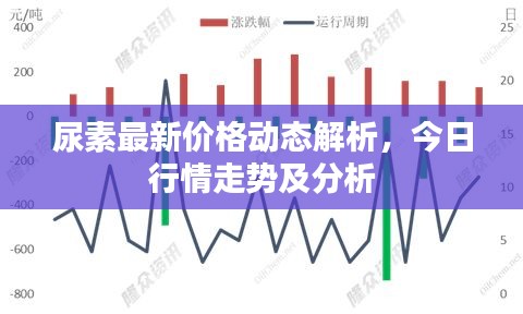 尿素最新价格动态解析，今日行情走势及分析