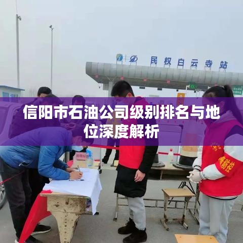 信阳市石油公司级别排名与地位深度解析