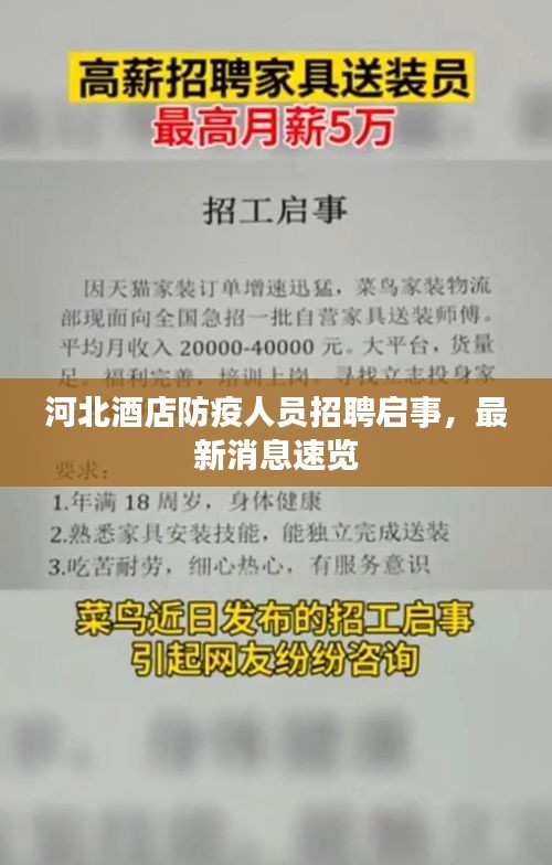 河北酒店防疫人员招聘启事，最新消息速览