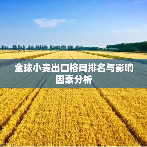 全球小麦出口格局排名与影响因素分析