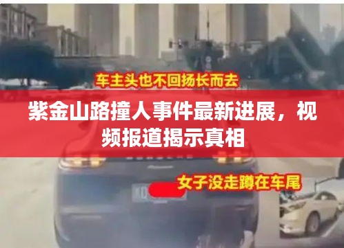 紫金山路撞人事件最新进展，视频报道揭示真相