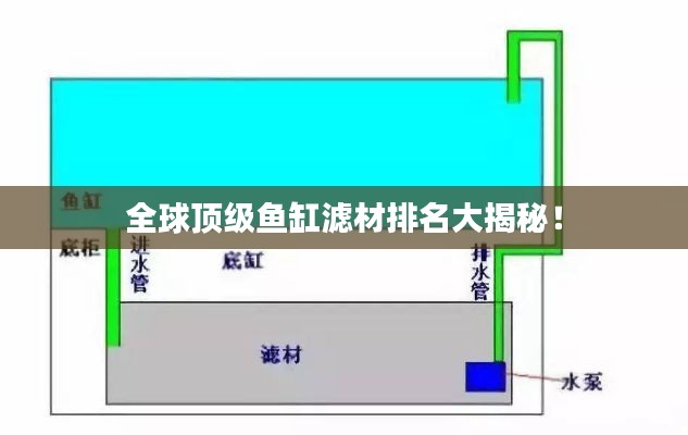 全球顶级鱼缸滤材排名大揭秘！