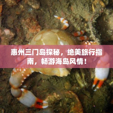 惠州三门岛探秘，绝美旅行指南，畅游海岛风情！