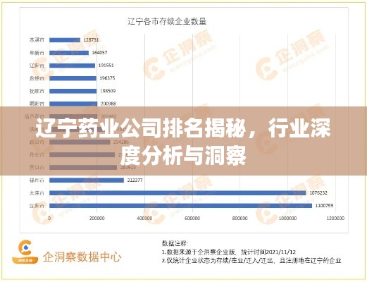 辽宁药业公司排名揭秘，行业深度分析与洞察