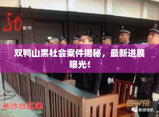 双鸭山黑社会案件揭秘，最新进展曝光！