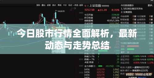 今日股市行情全面解析，最新动态与走势总结
