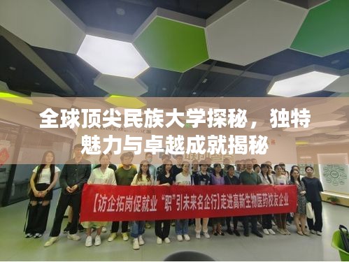 全球顶尖民族大学探秘，独特魅力与卓越成就揭秘