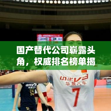 国产替代公司崭露头角，权威排名榜单揭晓！
