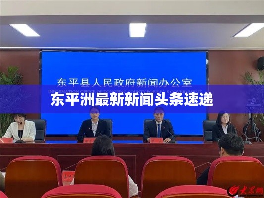 东平洲最新新闻头条速递