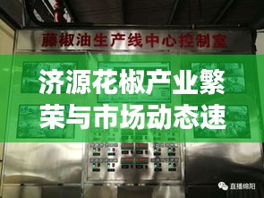 济源花椒产业繁荣与市场动态速递