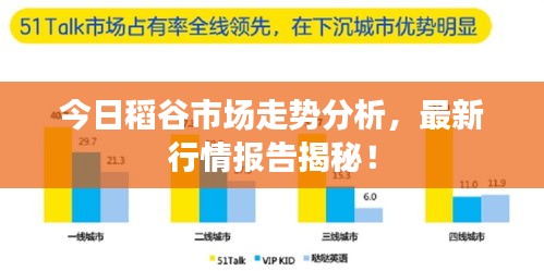 今日稻谷市场走势分析，最新行情报告揭秘！