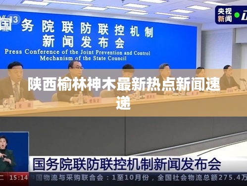 陕西榆林神木最新热点新闻速递