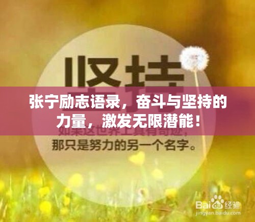 张宁励志语录，奋斗与坚持的力量，激发无限潜能！