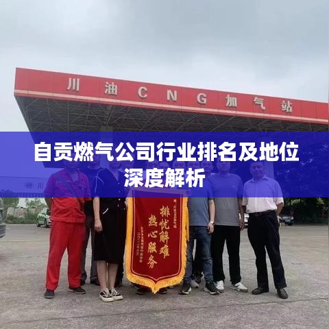 自贡燃气公司行业排名及地位深度解析