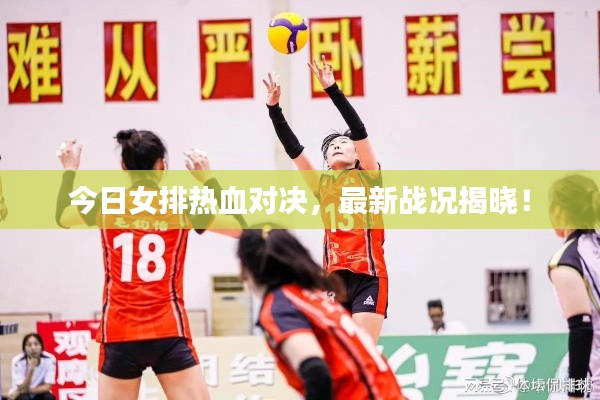 今日女排热血对决，最新战况揭晓！