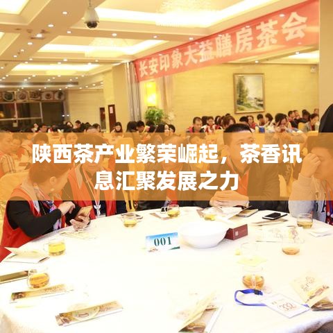 陕西茶产业繁荣崛起，茶香讯息汇聚发展之力