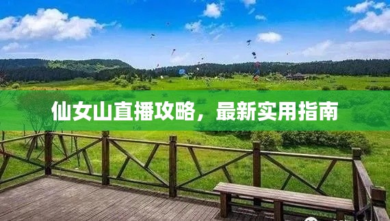 仙女山直播攻略，最新实用指南