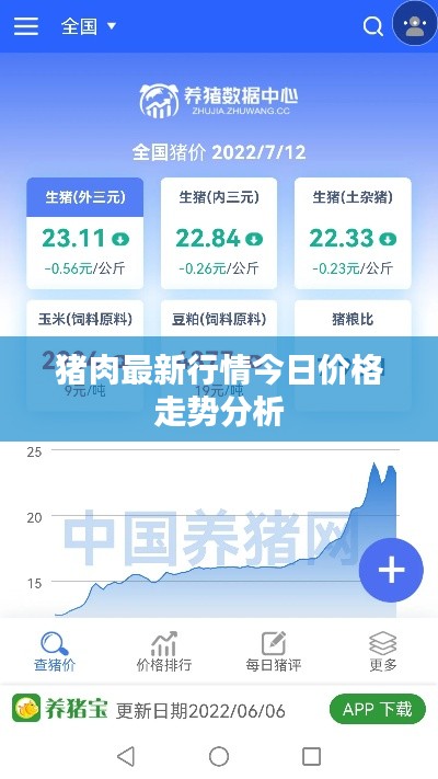 猪肉最新行情今日价格走势分析