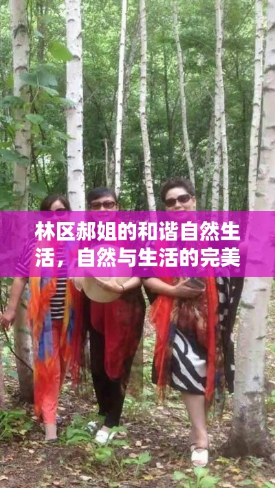 林区郝姐的和谐自然生活，自然与生活的完美融合
