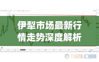 伊犁市场最新行情走势深度解析