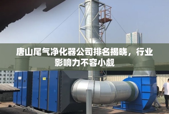 唐山尾气净化器公司排名揭晓，行业影响力不容小觑