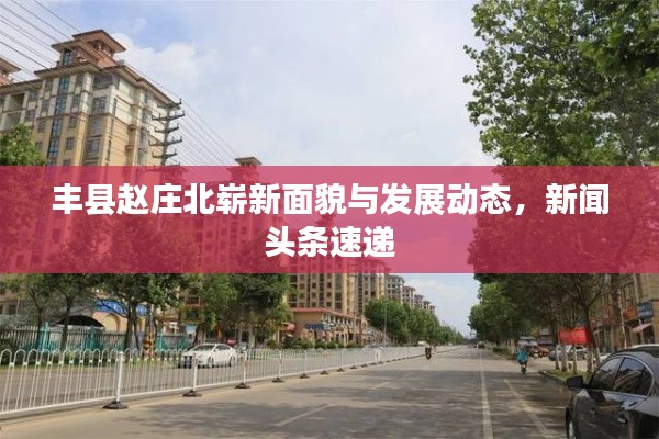 丰县赵庄北崭新面貌与发展动态，新闻头条速递
