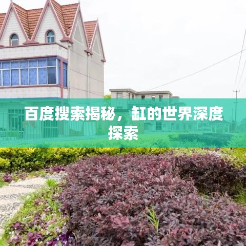 百度搜索揭秘，缸的世界深度探索