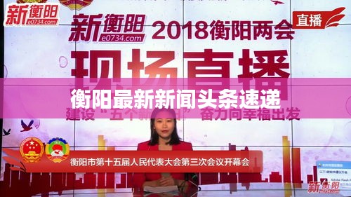 衡阳最新新闻头条速递