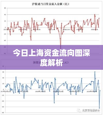 今日上海资金流向图深度解析