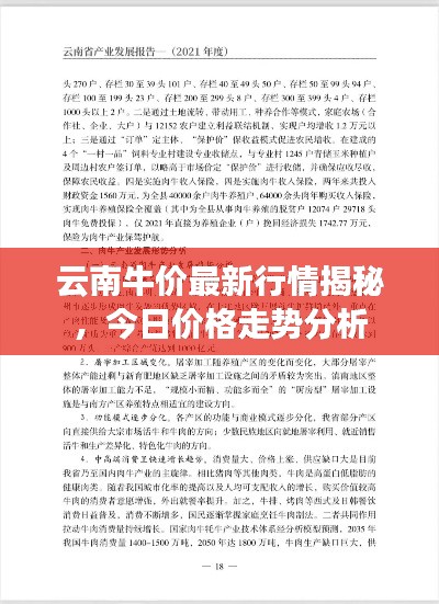 网站案例 第7页