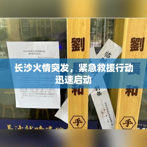 滔滔不绝