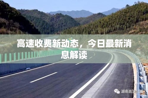 寒蝉僵鸟